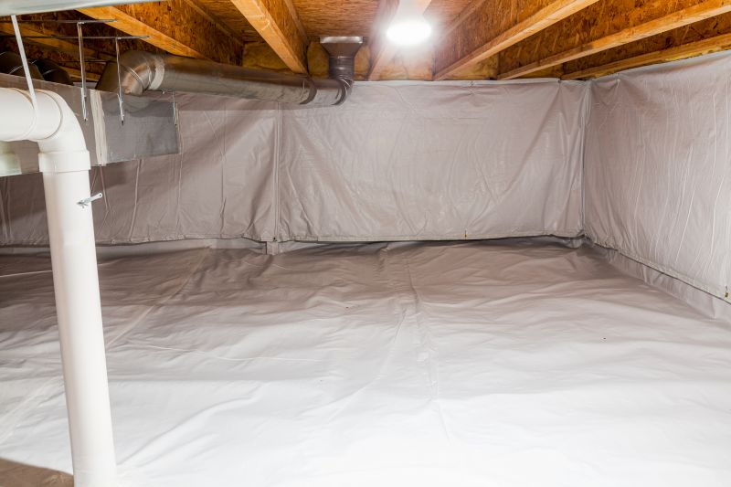 Pest-Free Crawlspace